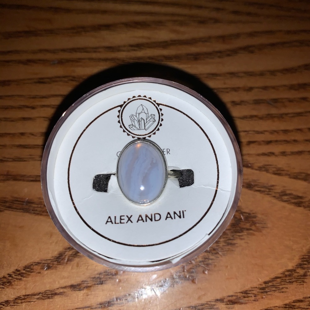 Alex and Ani Women's Blue Agate Adjustable Ring